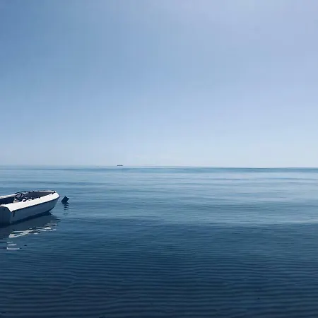 Amatore