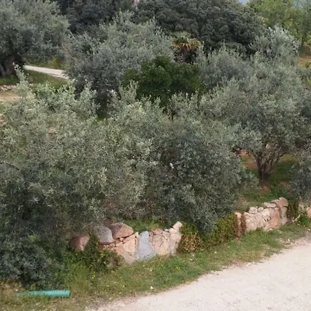 Сasa de vacaciones Amatore