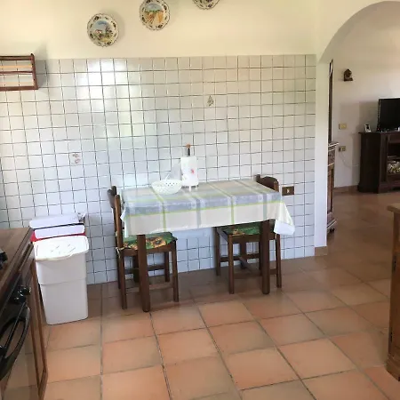 Amatore